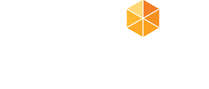 BGS Global Leadership Institute
